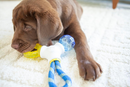 JW Puppy Connects 3-in-1 Puppy Toy