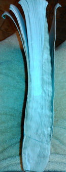 Psychology: An Exploration (2nd Edition) - Good