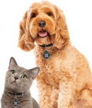 Pawscout Smart Pet Tag