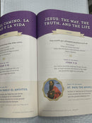 Una Familia de Fe Volume 1: Explorando la Profesion de Fe Activity Book