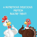 Flock Party Happy Hoppers Grasshopper Chicken Treats LARGE BAG 10oz